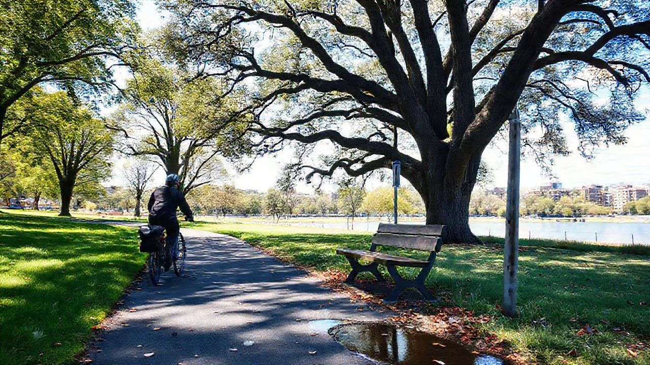 Ciclista disfruta un sendero tranquilo y sereno