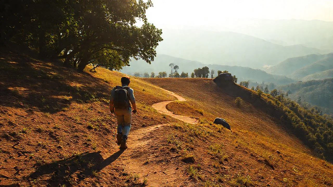 Un viajero solitario recorre un sendero